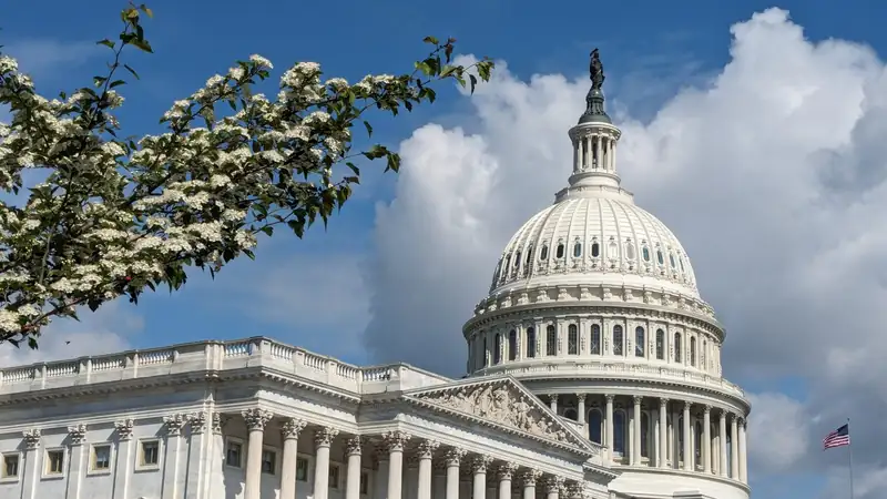 The white dome of the US Capitol against a blue sky with clouds, framed by flowering branches.